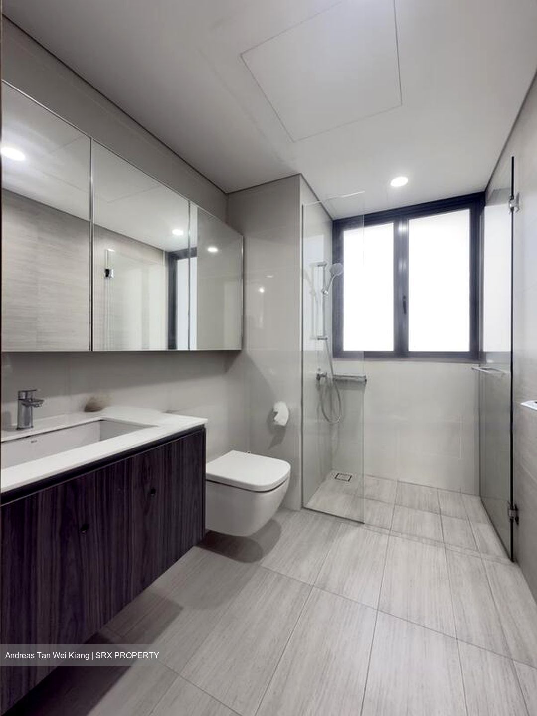 Lakeville (D22), Condominium #569703721